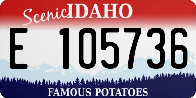 ID license plate E105736