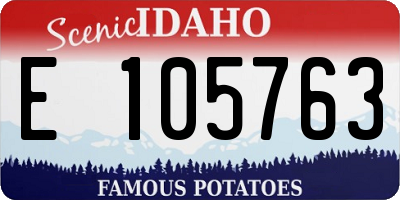 ID license plate E105763