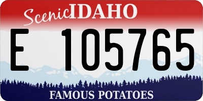 ID license plate E105765