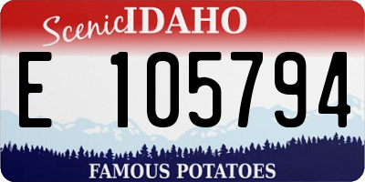 ID license plate E105794