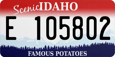 ID license plate E105802
