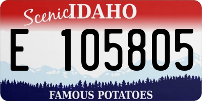 ID license plate E105805