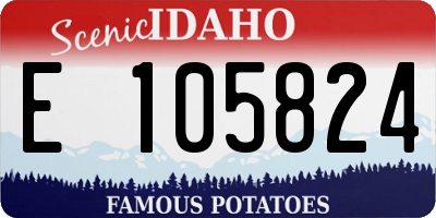 ID license plate E105824