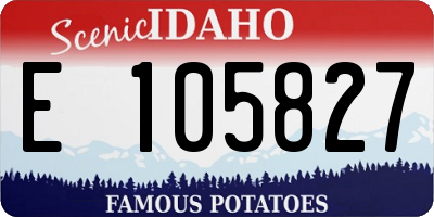 ID license plate E105827