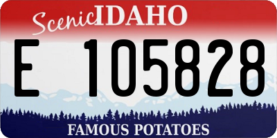 ID license plate E105828