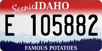 ID license plate E105882