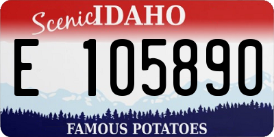 ID license plate E105890