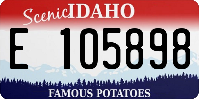 ID license plate E105898