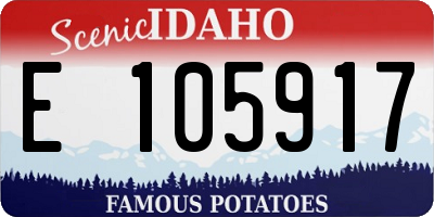 ID license plate E105917
