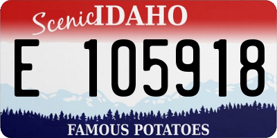ID license plate E105918