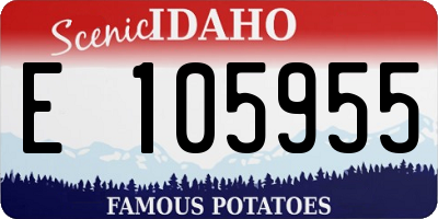 ID license plate E105955
