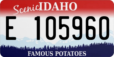 ID license plate E105960