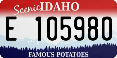 ID license plate E105980