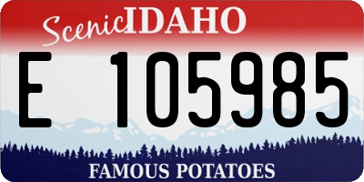 ID license plate E105985