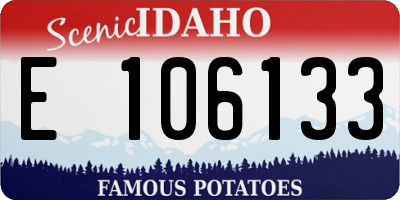 ID license plate E106133