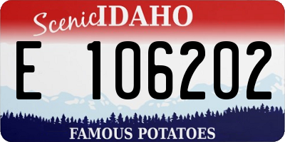ID license plate E106202