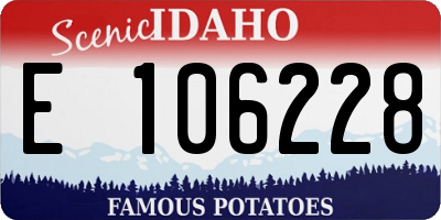 ID license plate E106228