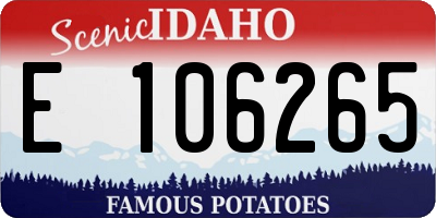 ID license plate E106265