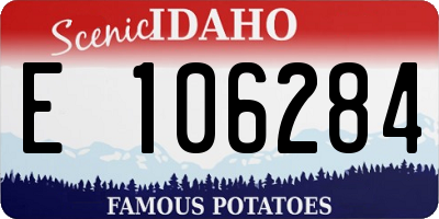 ID license plate E106284