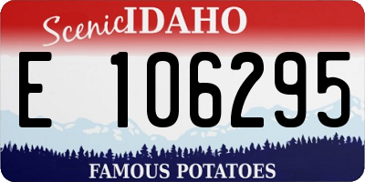 ID license plate E106295