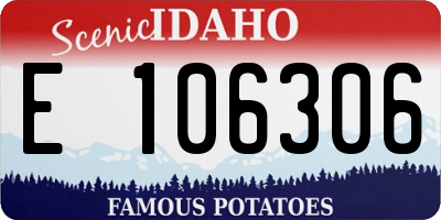 ID license plate E106306