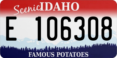 ID license plate E106308