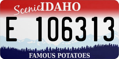 ID license plate E106313