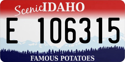 ID license plate E106315