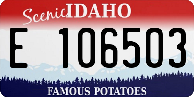 ID license plate E106503