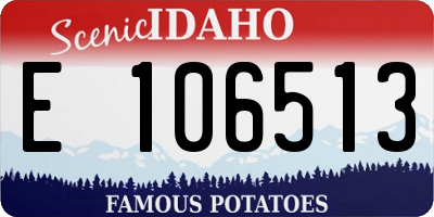 ID license plate E106513