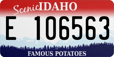 ID license plate E106563