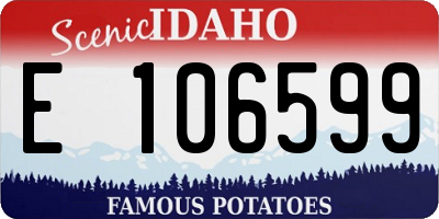 ID license plate E106599