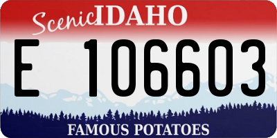 ID license plate E106603