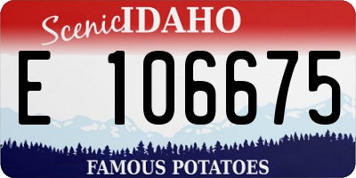 ID license plate E106675