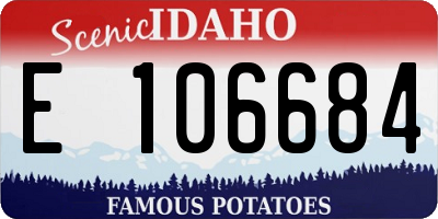 ID license plate E106684