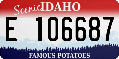 ID license plate E106687
