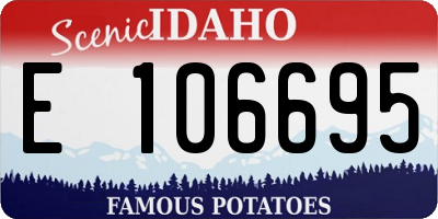 ID license plate E106695