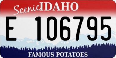 ID license plate E106795