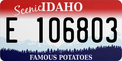 ID license plate E106803