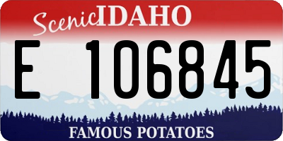 ID license plate E106845