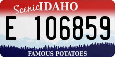 ID license plate E106859