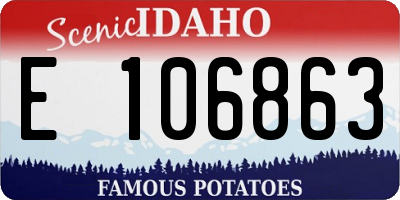 ID license plate E106863