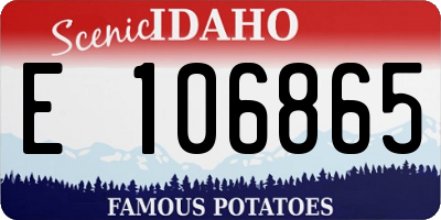 ID license plate E106865