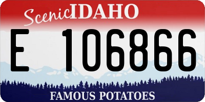 ID license plate E106866