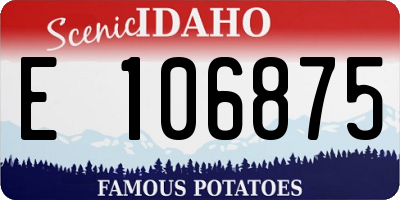 ID license plate E106875