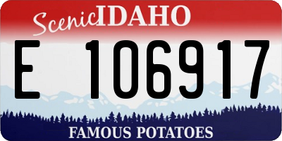 ID license plate E106917