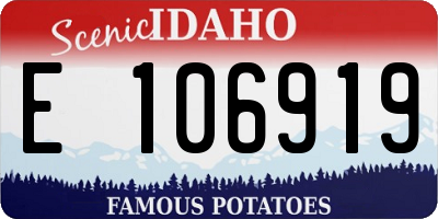 ID license plate E106919