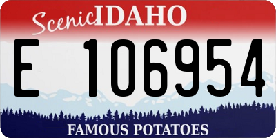 ID license plate E106954