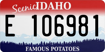 ID license plate E106981