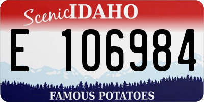 ID license plate E106984
